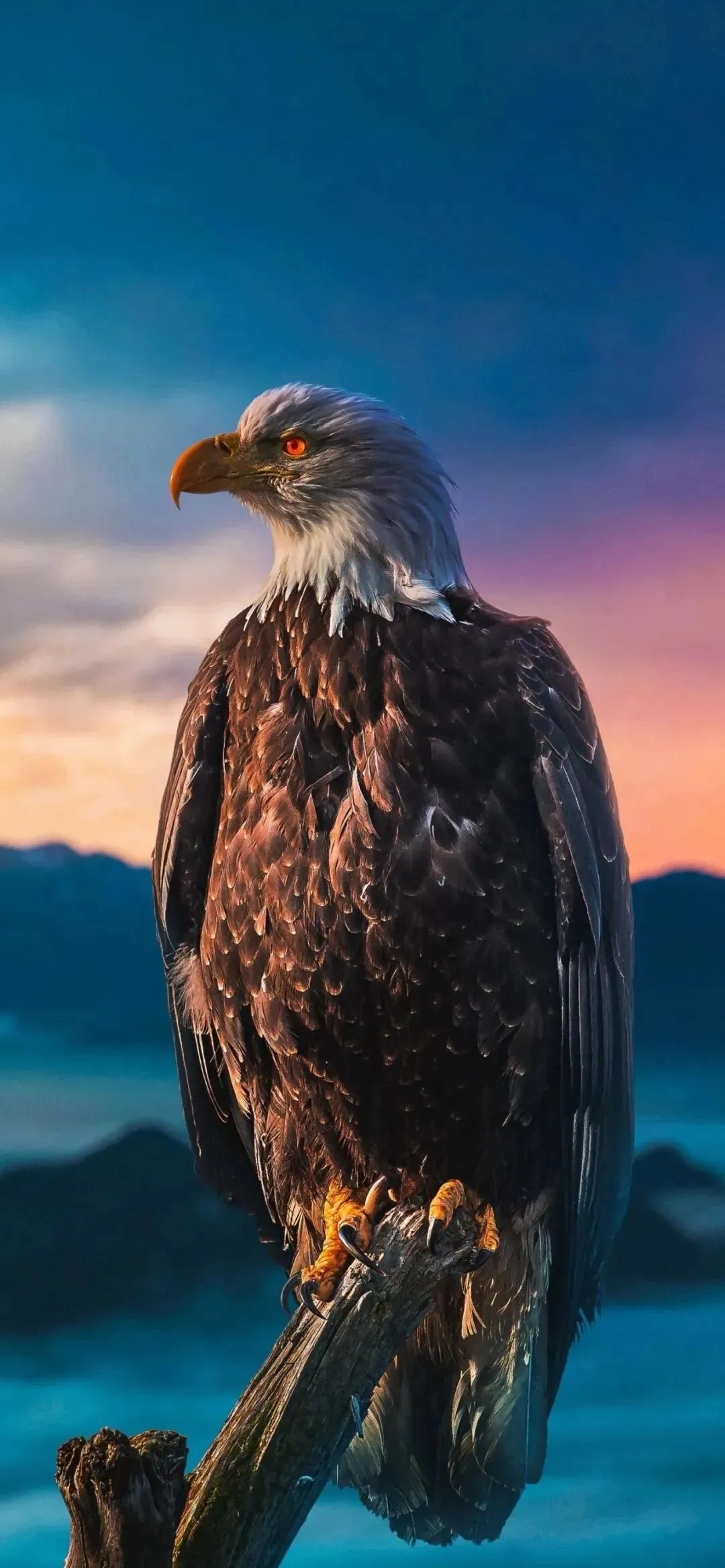 大镖客2商贩不赚钱 大镖客2快速致富