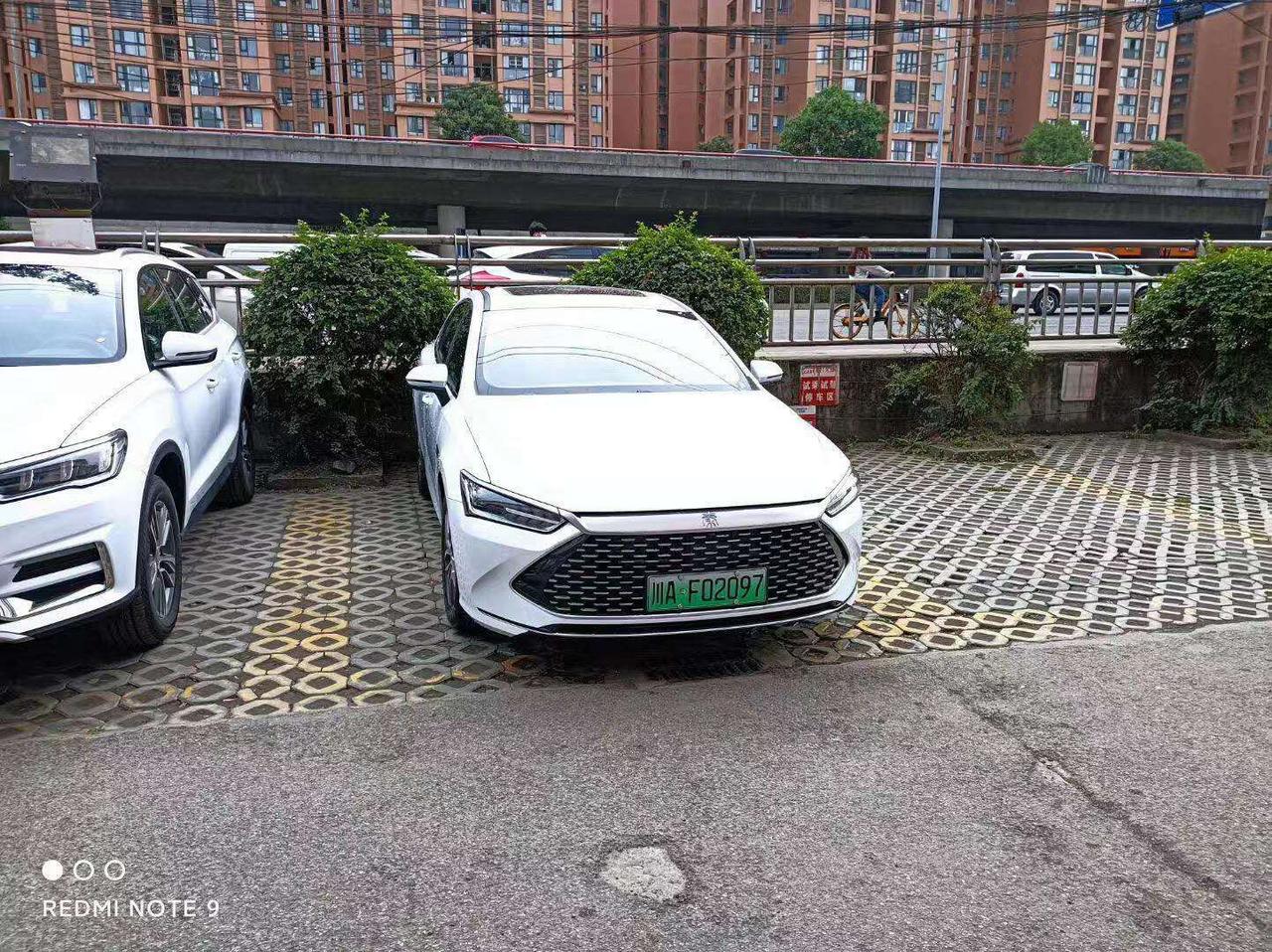 成都試駕車上牌了_秦plus dm-i車友圈_交錢不提就是玩兒_懂車帝