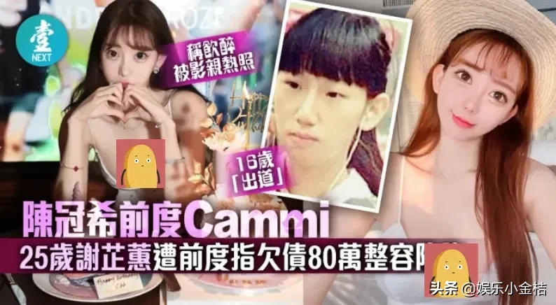 谢芷蕙|陈冠希前女友谢芷蕙被曝欠债66万 欠债原因居然是为了整容