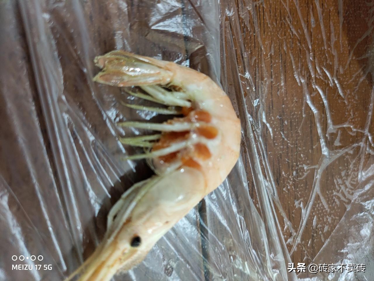 杭州湾海里的,方言叫潮虾__懂车帝