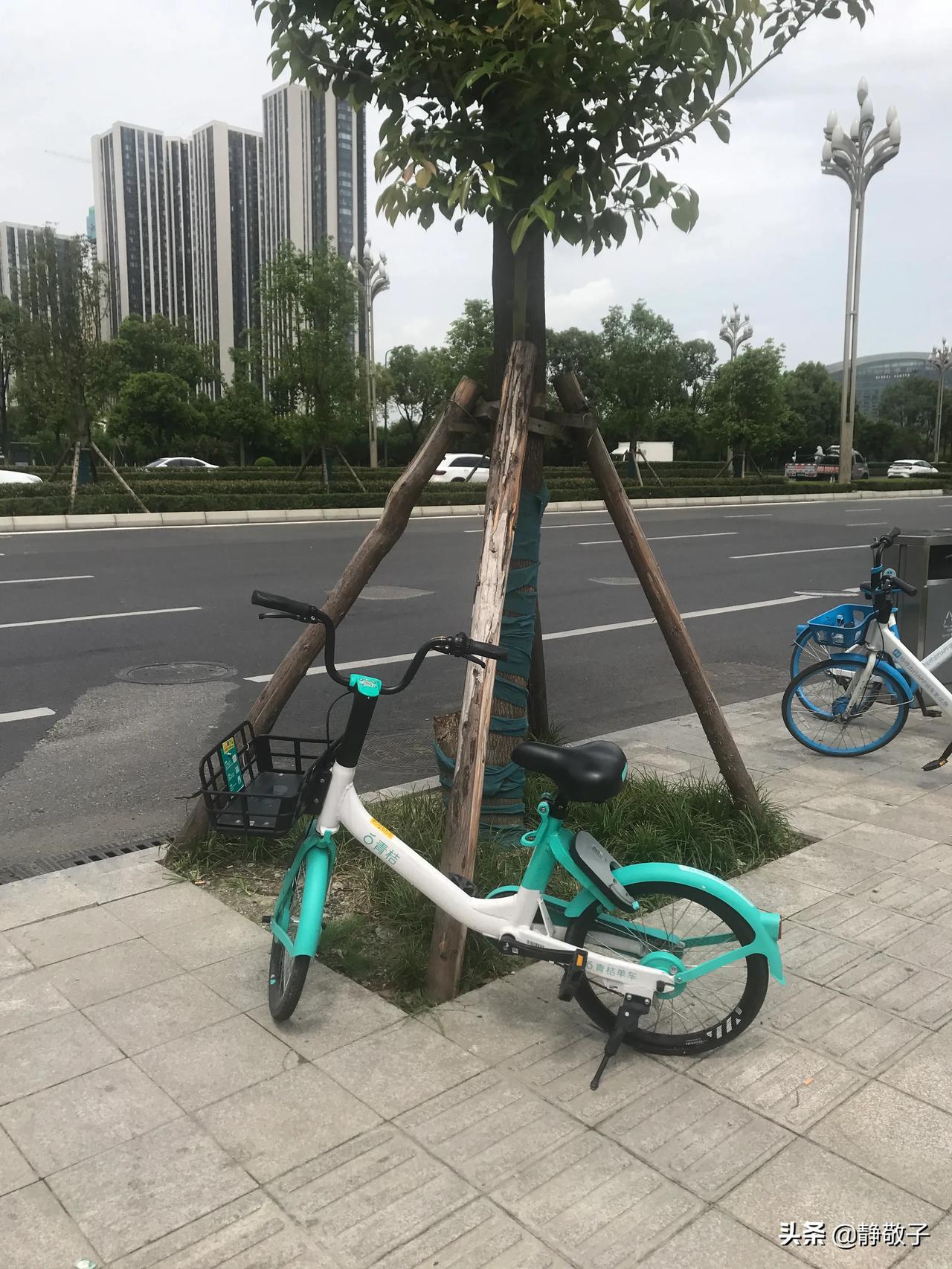 成都街头有人破坏共享单车的二维码这辆青桔单车是新出的很受欢迎的小