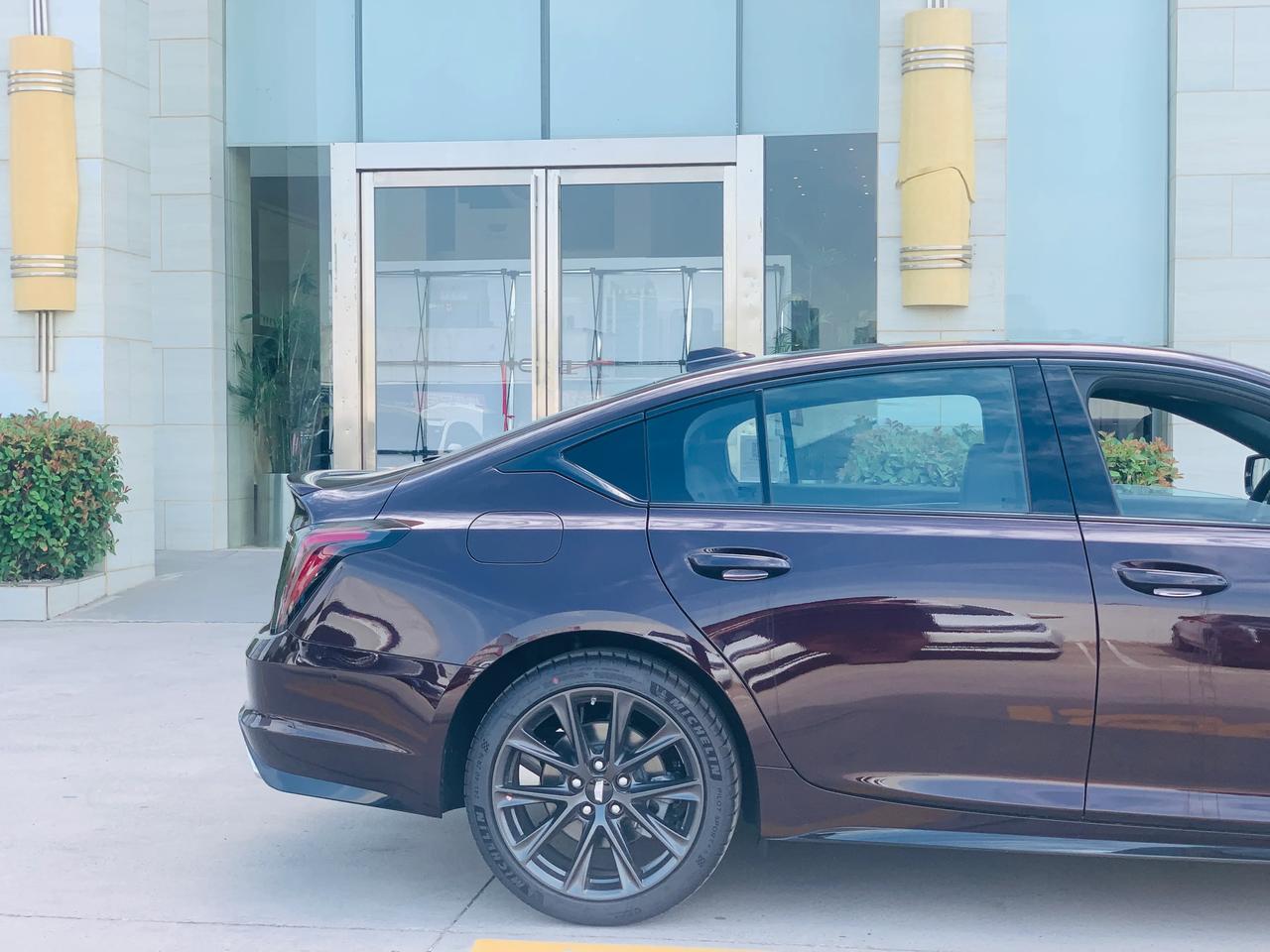 凯迪拉克ct5珊瑚紫这个颜色爱么