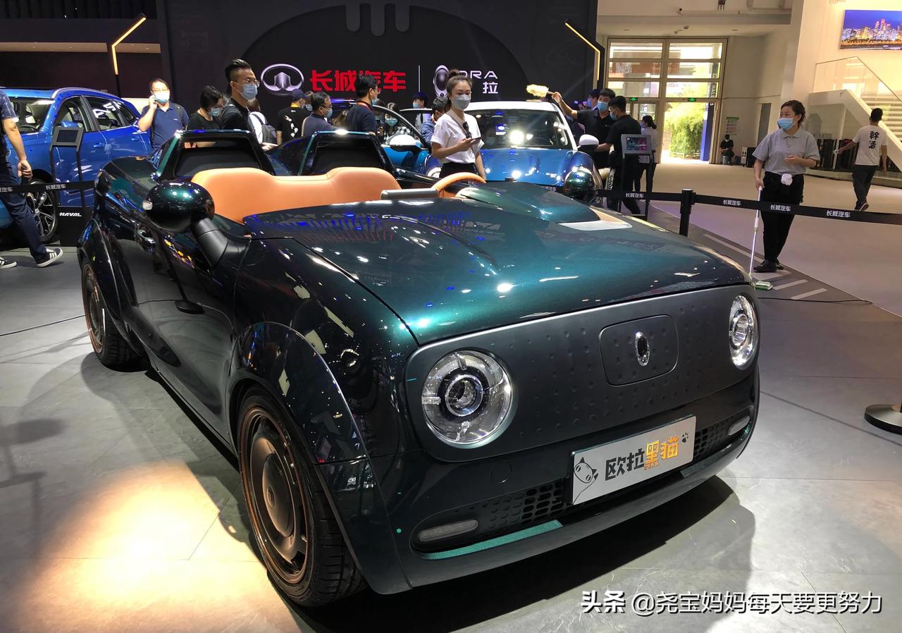 敞篷版欧拉黑猫,复古的帅气 这是工匠派基于欧拉黑猫改装的,不