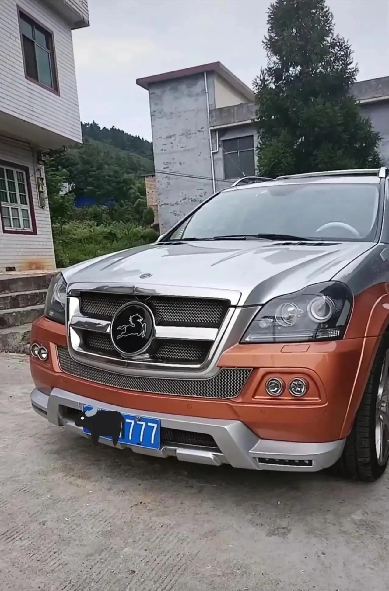 这是啥车呀一只野马的标志车牌号也不错这得多少钱