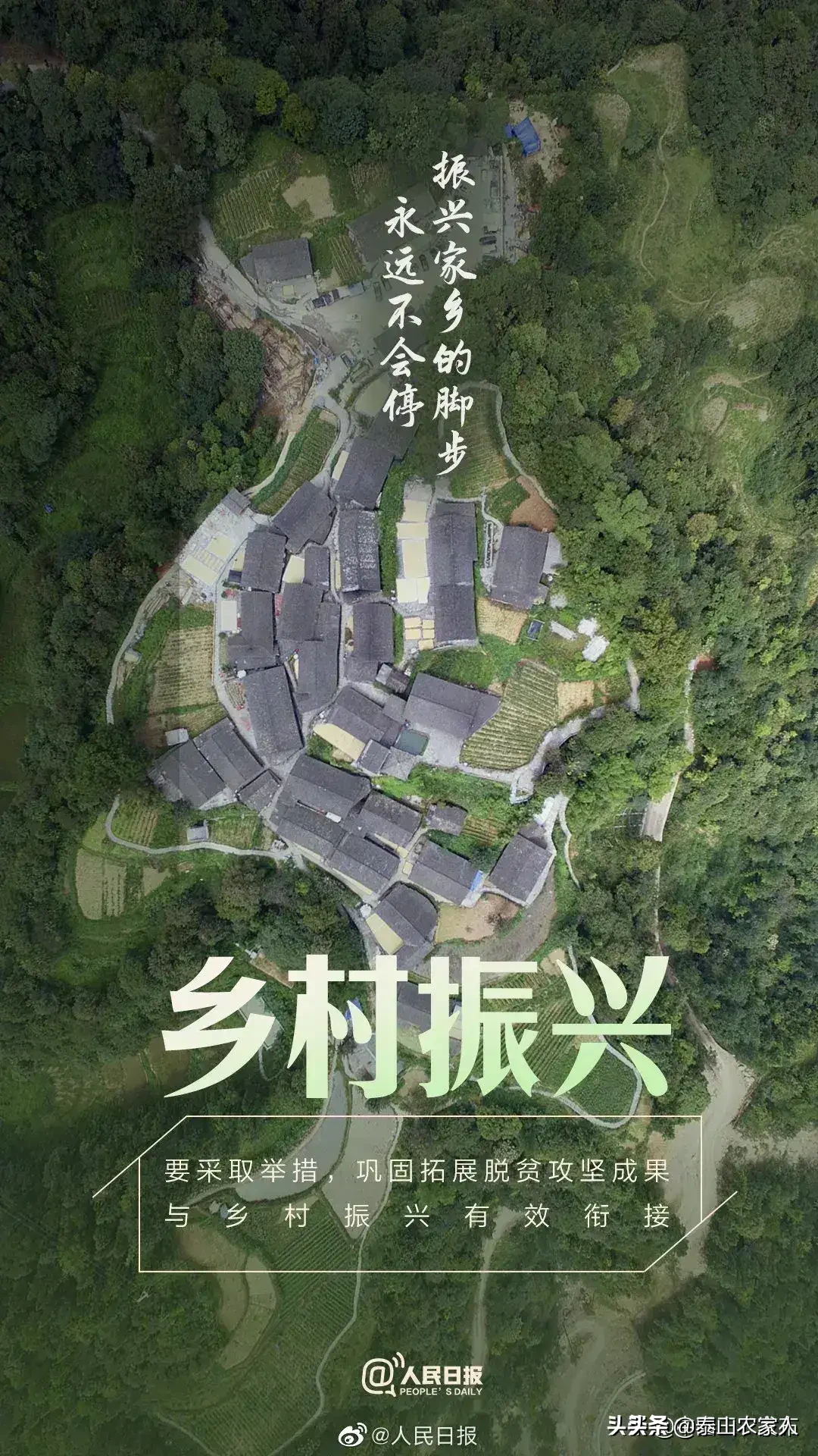 粮食|中国人均粮食占有量在474公斤 粮食安全是有保障的