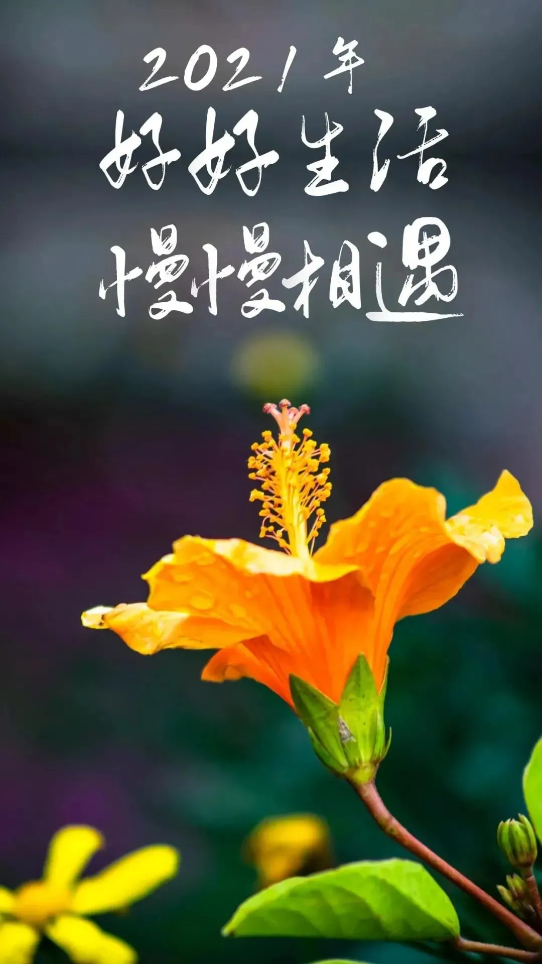 能赚钱会赚钱不代表一切 正规赚钱项目在家赚钱