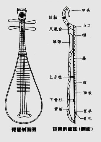 琵琶的构造如图所示(6)单选题梳状滤波器模型忽略了高频谐波消失的