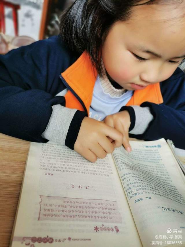 曾都区鹿鹤小学“爱上语文，经典有约”语文节之二（2）班活动案例语文节,经典诵读,阅读分享会,写作分享会,学生自主记录