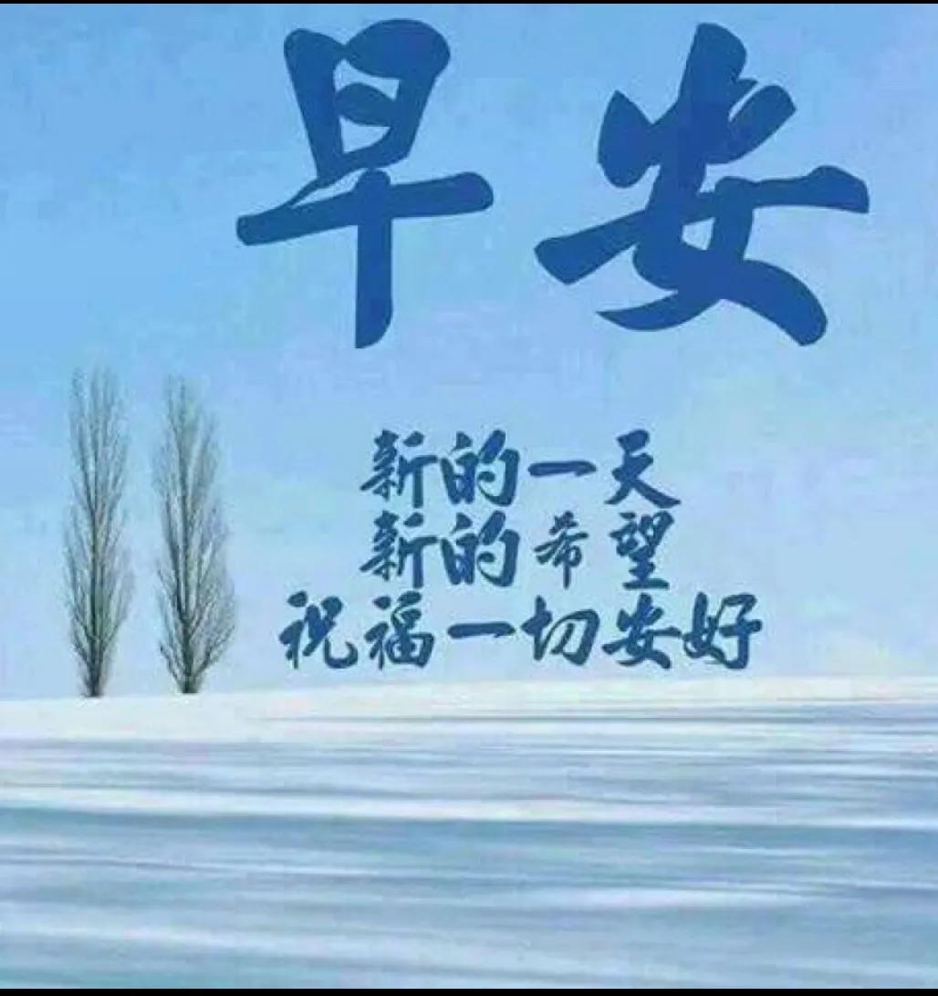 努力赚钱的样子一点也不狼狈