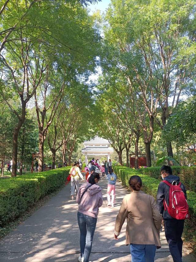 百望山森林公园（1）