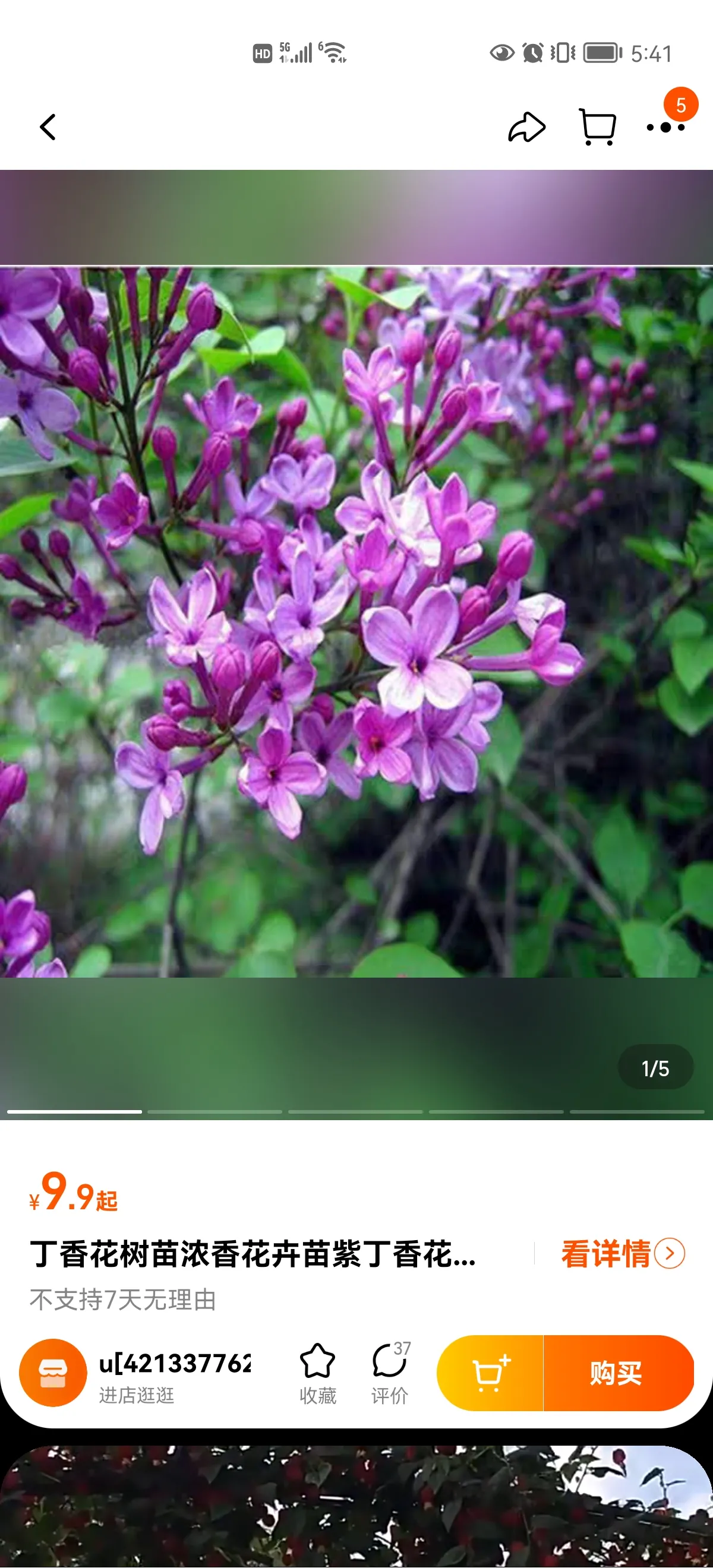 就浅过一下夏天吧 丁香花 是很有名的花 丁香花花语是努力而且不自傲 朴素优雅 美好幸福 丁香花外表小巧优雅 不像美艳的