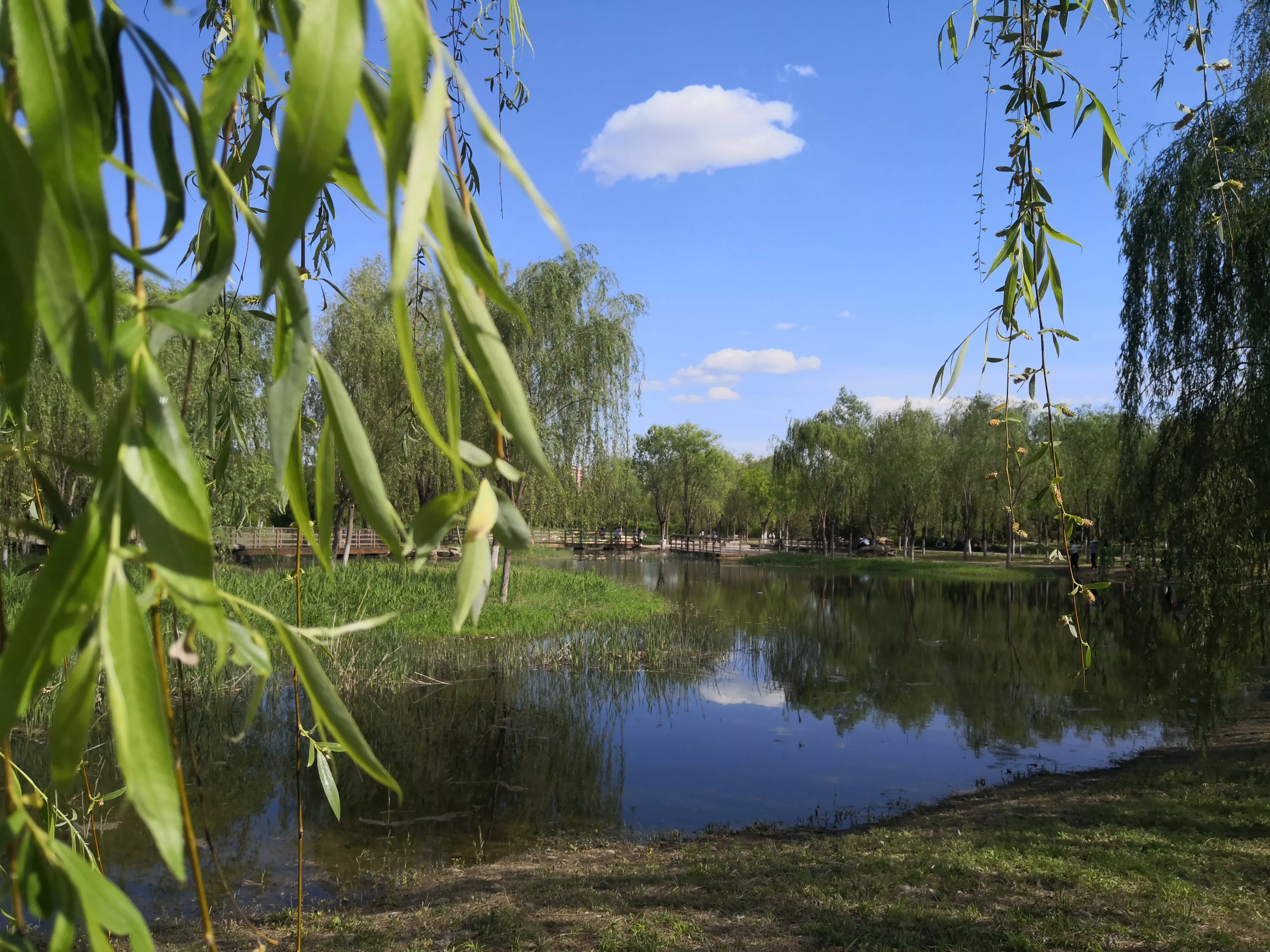 美丽的白河森林公园 蓝蓝的天上白云朵朵 静静的小溪潺潺流水 休闲的人们尽情享受 天天看点