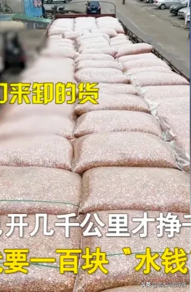 惠州拉货新能源货车赚不赚钱