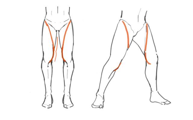 如何画好腿部？教你5点画出伸直和弯曲的腿部画法！