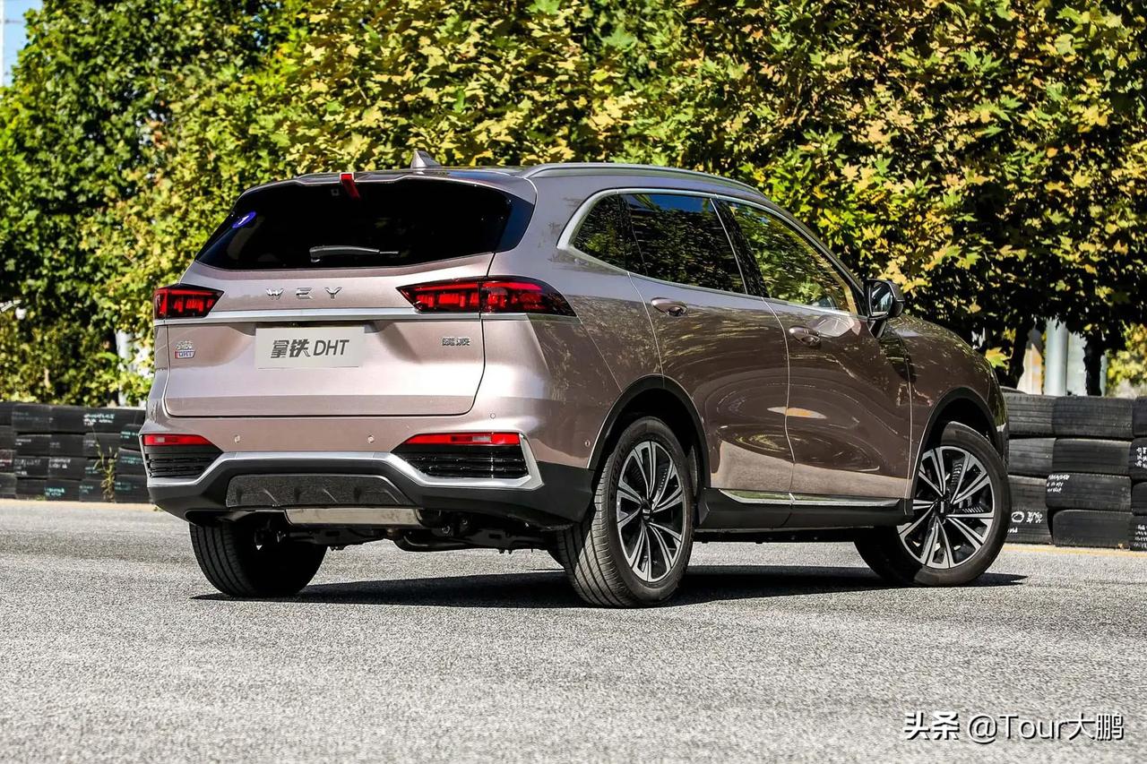 魏牌拿铁dht##星越l雷神hi·x##汽车市场##hev