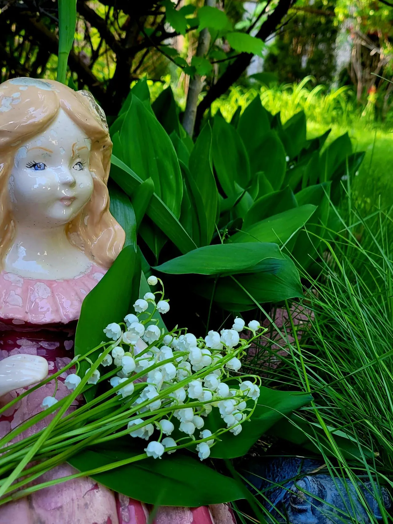 人人能科普 處處有新知 鈴蘭生幽谷 寶潔勝美玉 五月鈴蘭開 香味幽幽來 鈴蘭是山谷之花 是山谷精靈 它吸天地萬物之靈氣