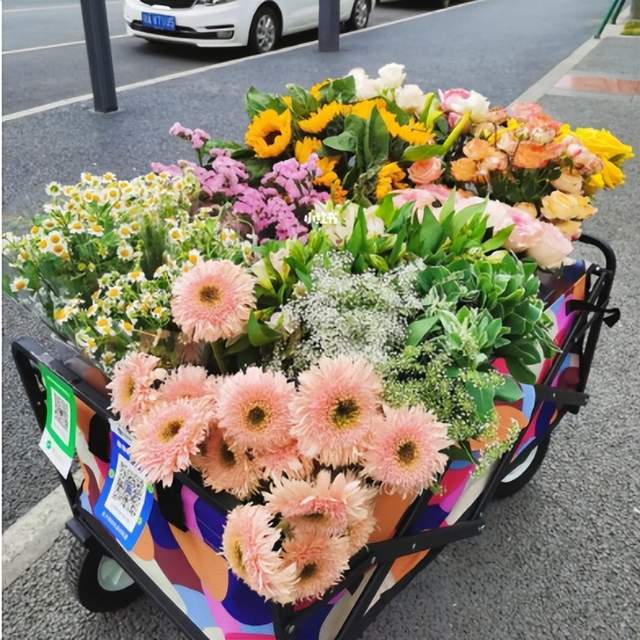 贩卖人间浪漫,摆摊卖花的小姐姐说有ta真好