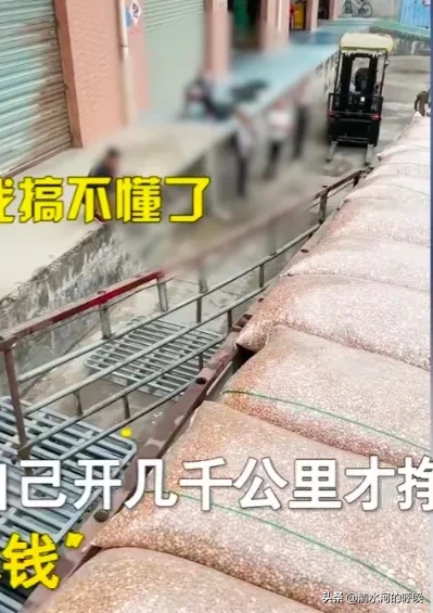 惠州拉货新能源货车赚不赚钱