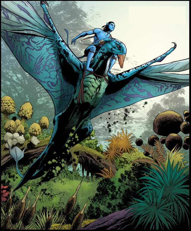 阿凡达空中生物档案这样的设计合理吗