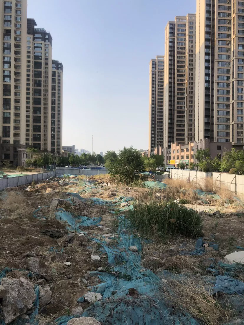 天天3·15|交房1年半、2条市政路没修，临沂荣盛·蓝山郡垃圾扬尘和出行难问题亟待解决