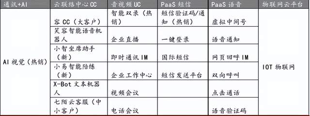 “中国SaaS赴美第一股”暴跌之谜