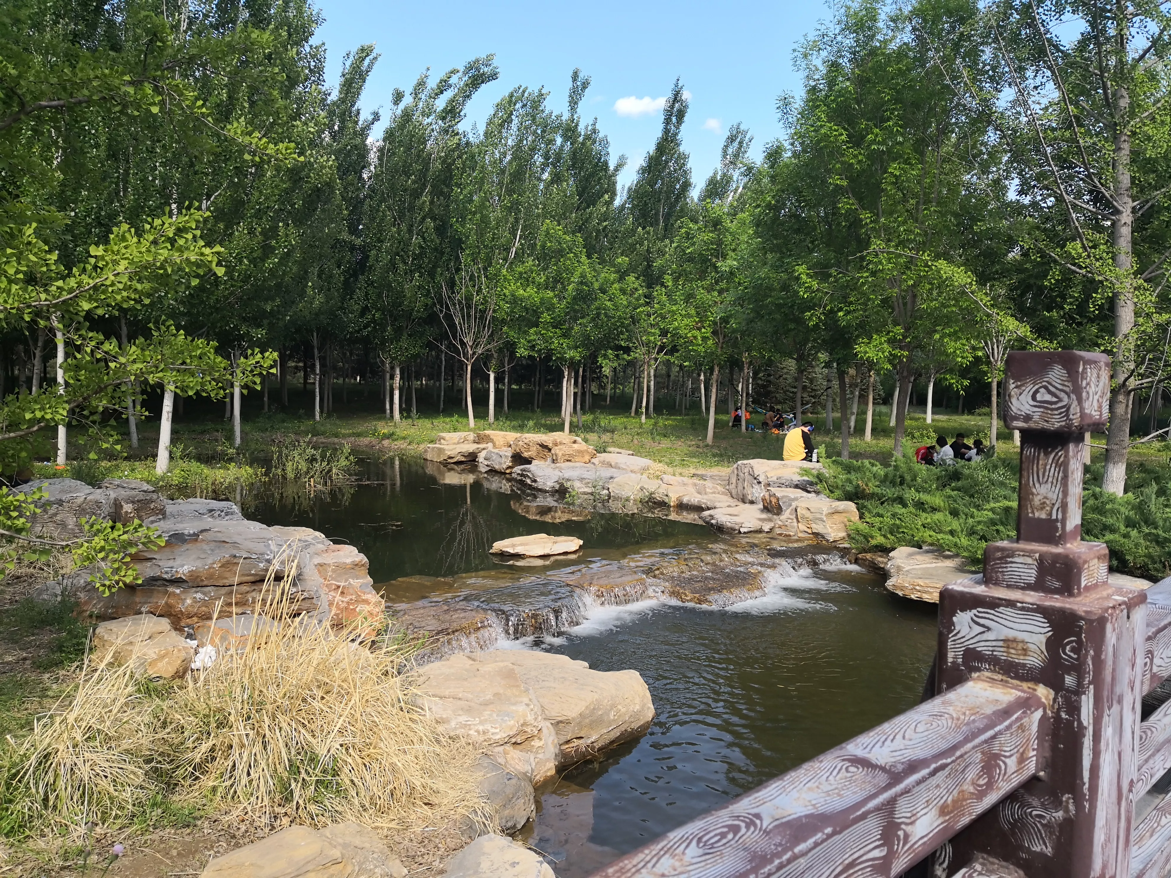 美丽的白河森林公园 蓝蓝的天上白云朵朵 静静的小溪潺潺流水 休闲的人们尽情享受 天天看点