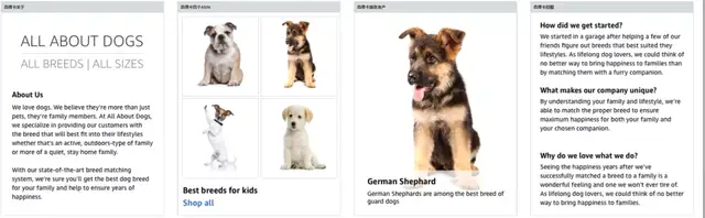 亚马逊新A+功能：品牌故事图文详解