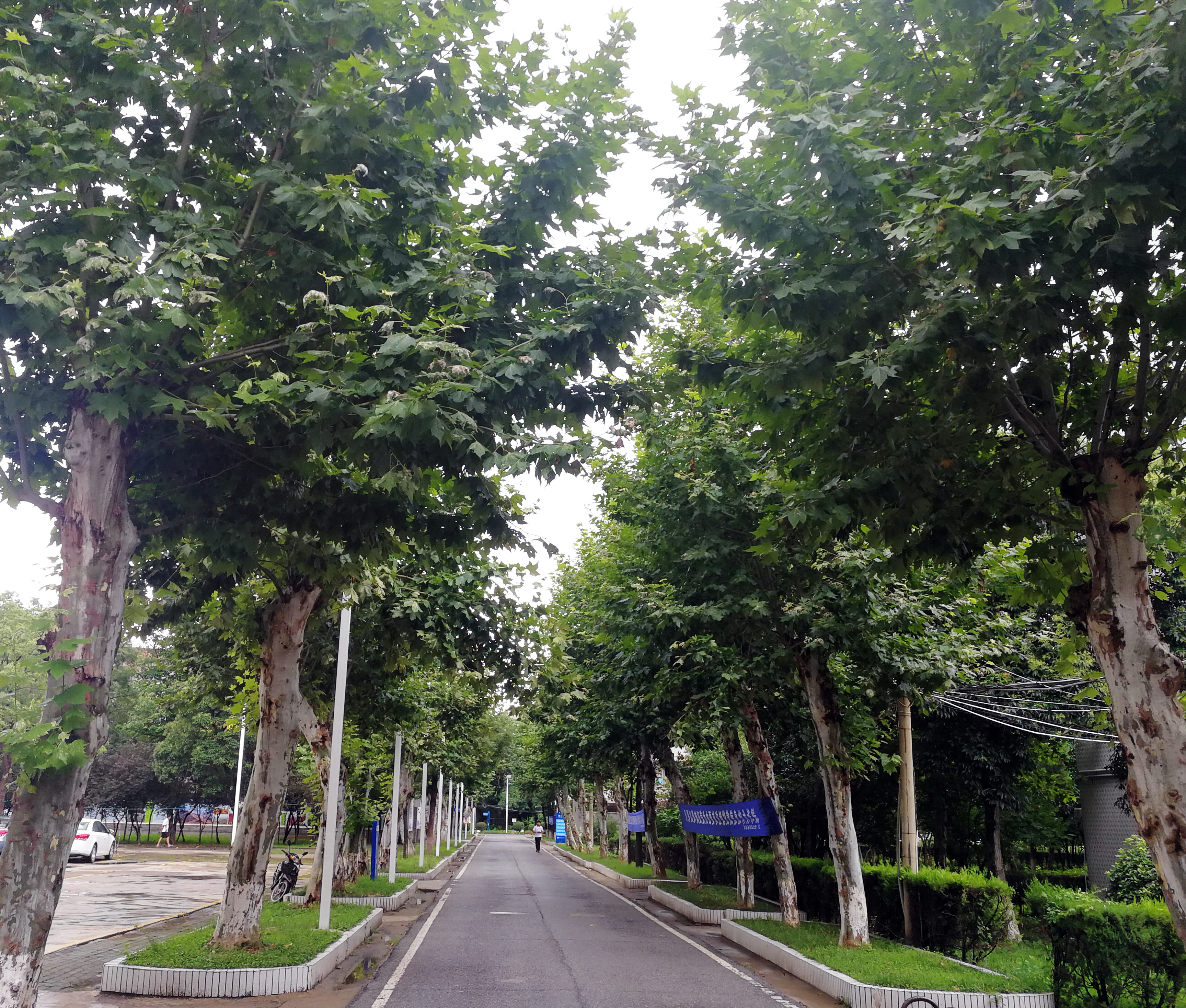 裴高才：达观处世，如师如友——我心中的泰山北斗喻公占华先生