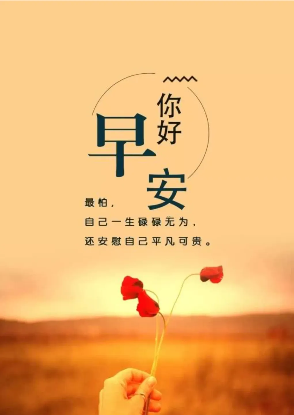 努力赚钱的样子一点也不狼狈