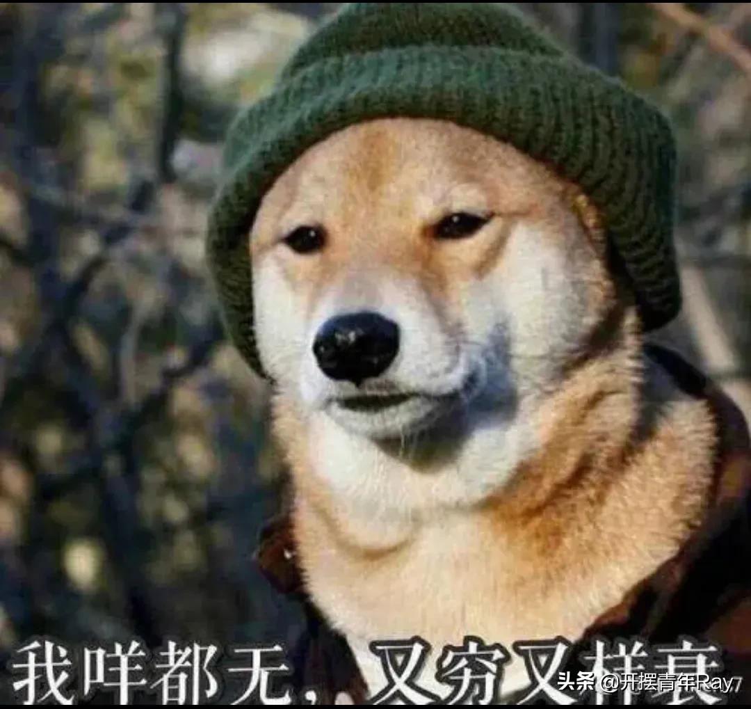 福克斯stline##分享你的表显油耗#这疫情闹得都没法出