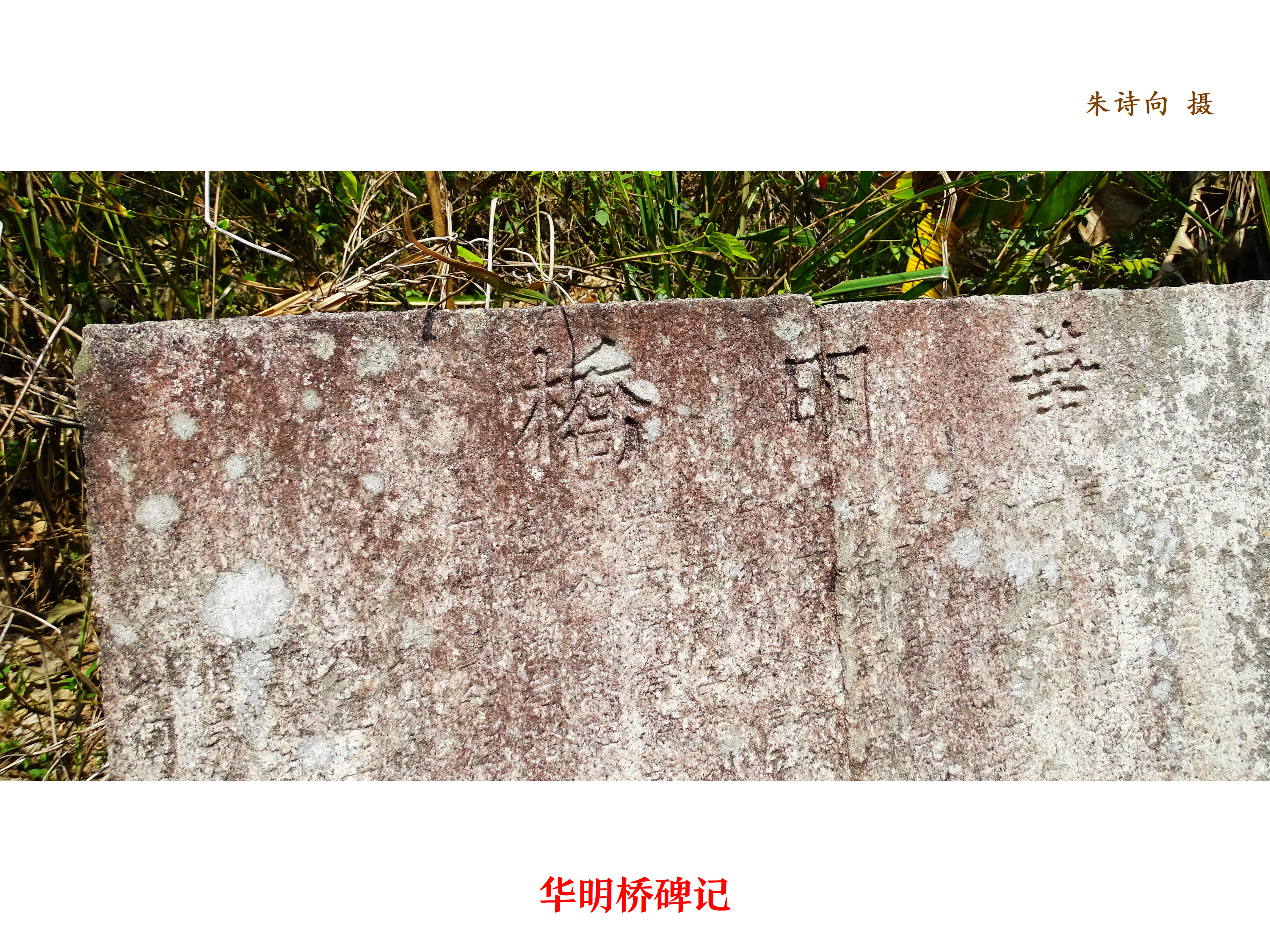 丰顺县潘田镇的“古桥”