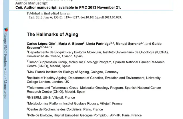 衰老加剧核糖体“罢工”并破坏蛋白稳态平衡