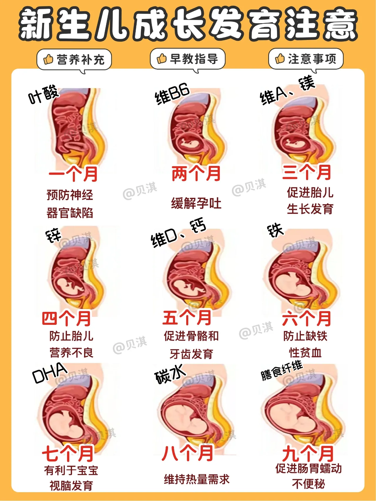 金牌月嫂培训教程全书 金牌月嫂标准