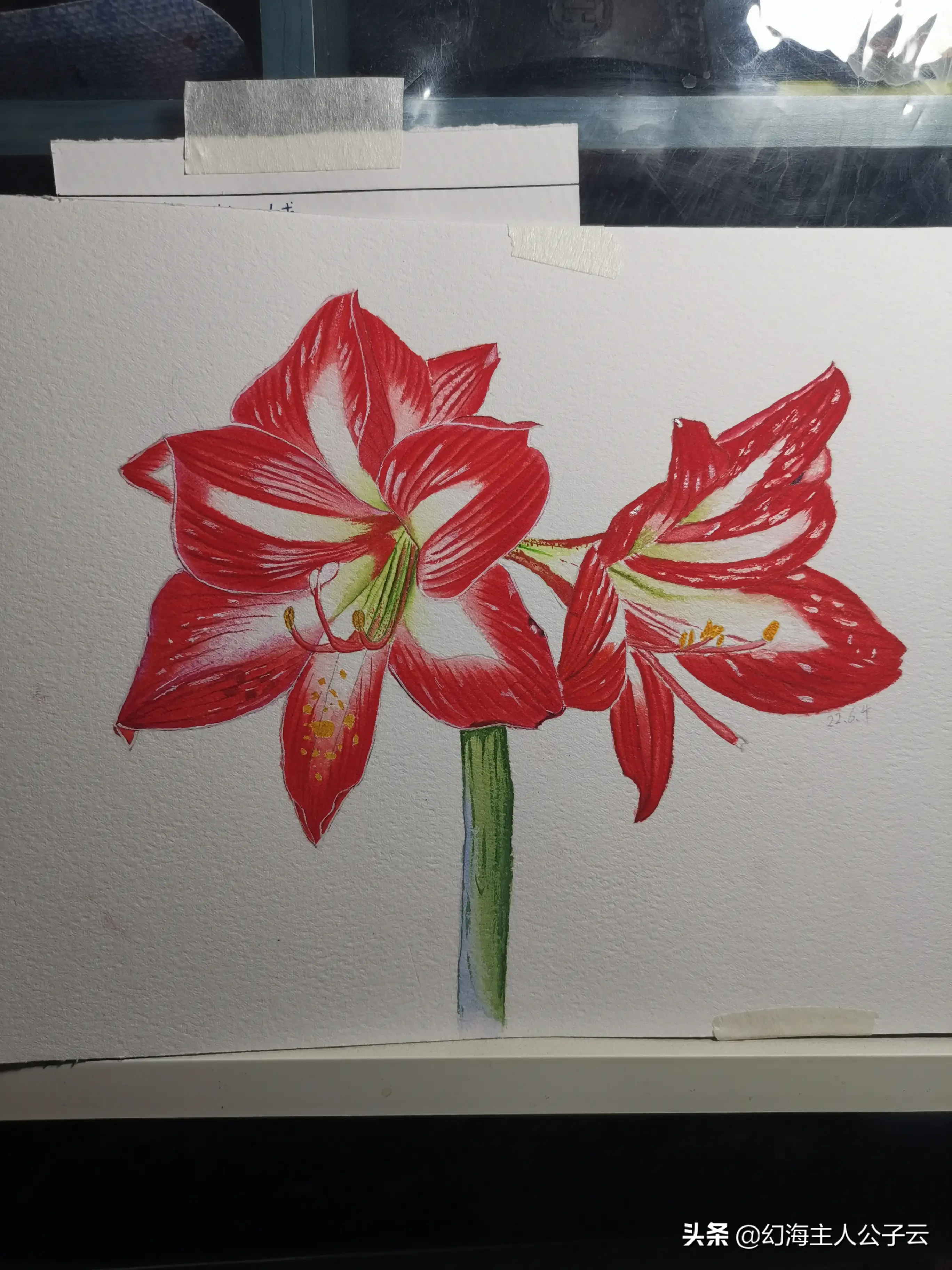 Watercolor Hand Painted Watercolor Vermilion Started Painting The First Petals On April 11th And It S Been A Few Days And Two Months It Has Been Stranded For Physical Reasons I Can T Stand It