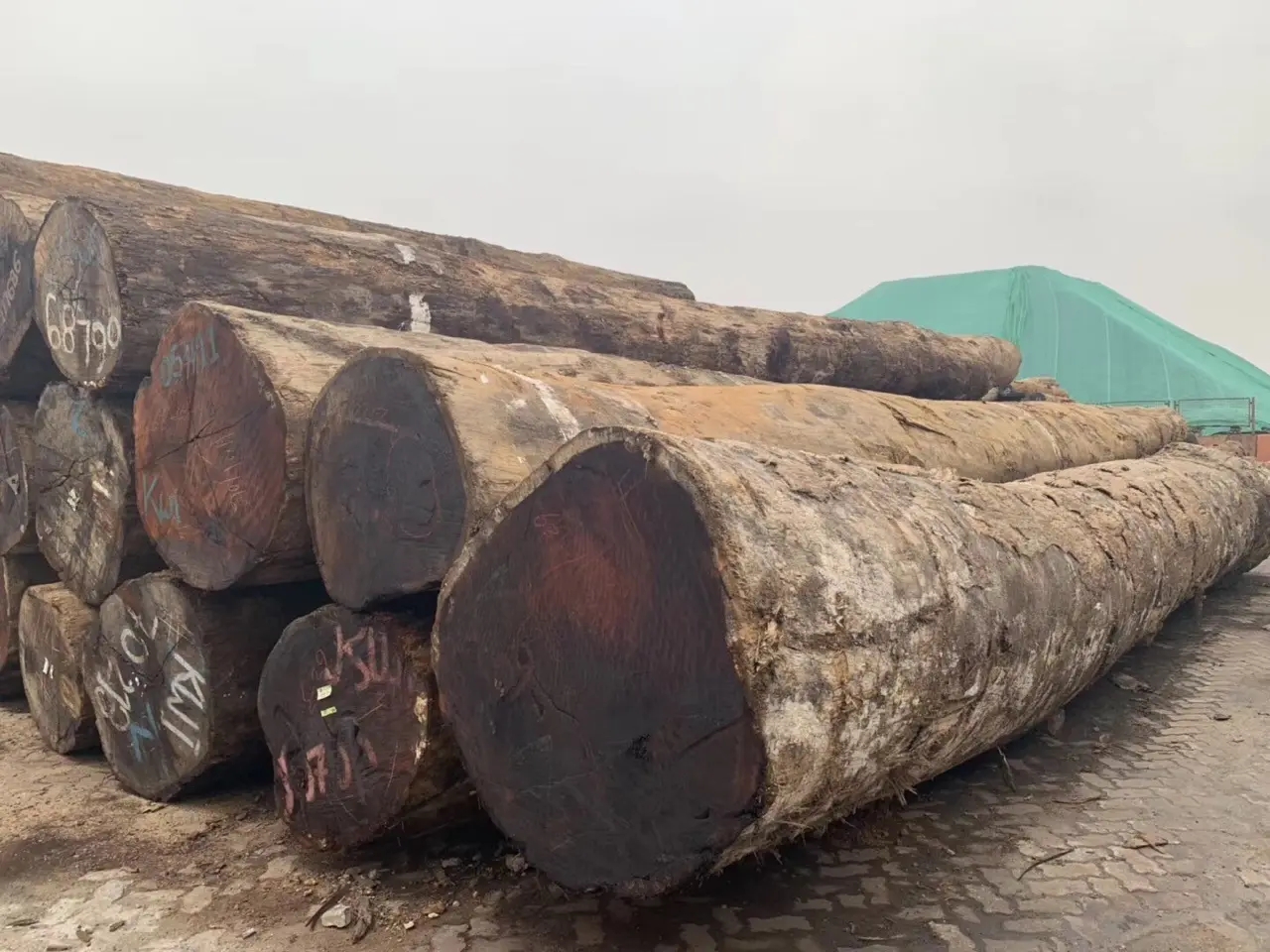 印尼原木进口清关操作流程