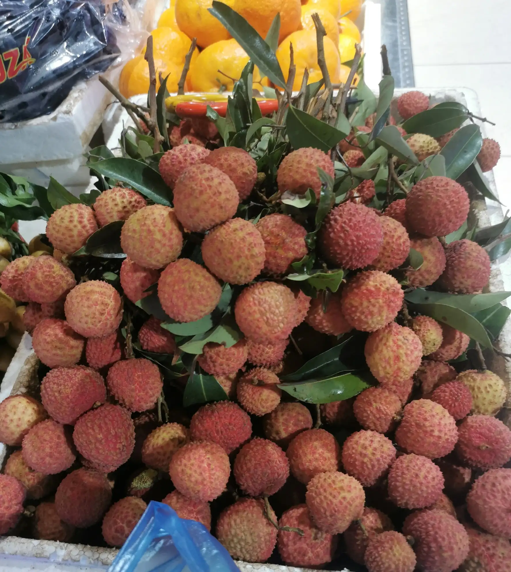 无房贷车贷月入5千怎么样