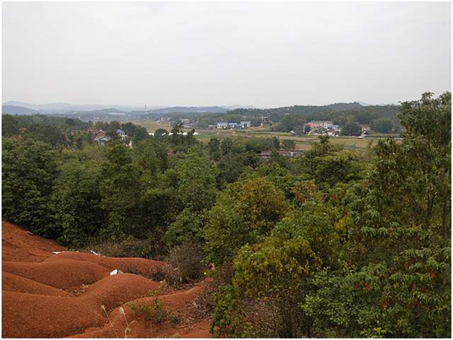 “胡大姐”直播贵宾莅临场景