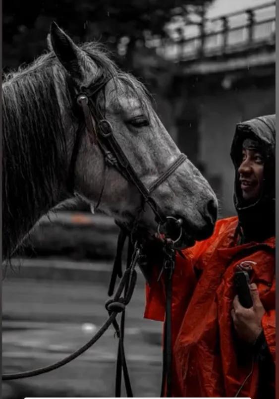 一人一马一世界 重庆一位小伙骑马4400公里,从新疆回老家重