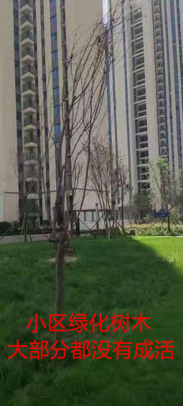 河南万达•周口ONE存在多项质量问题，业主被要求先收房才能验房