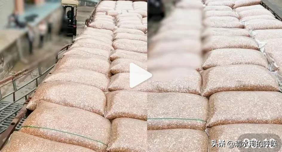 惠州拉货新能源货车赚不赚钱