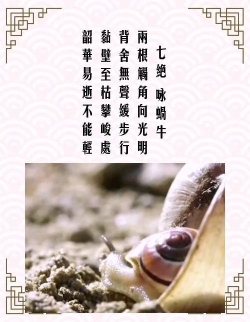 七絕 詠蝸牛兩根觸角向光明背舍無聲緩步行黏壁至枯攀峻處韶華易逝不能輕注 蝸牛是無脊椎軟體動物門腹足綱動物 也是是牙齒最多