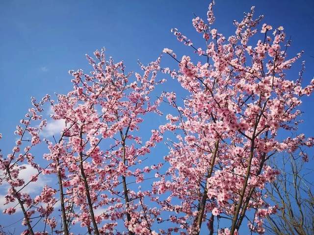 相约520巨石山，共赴春光无限