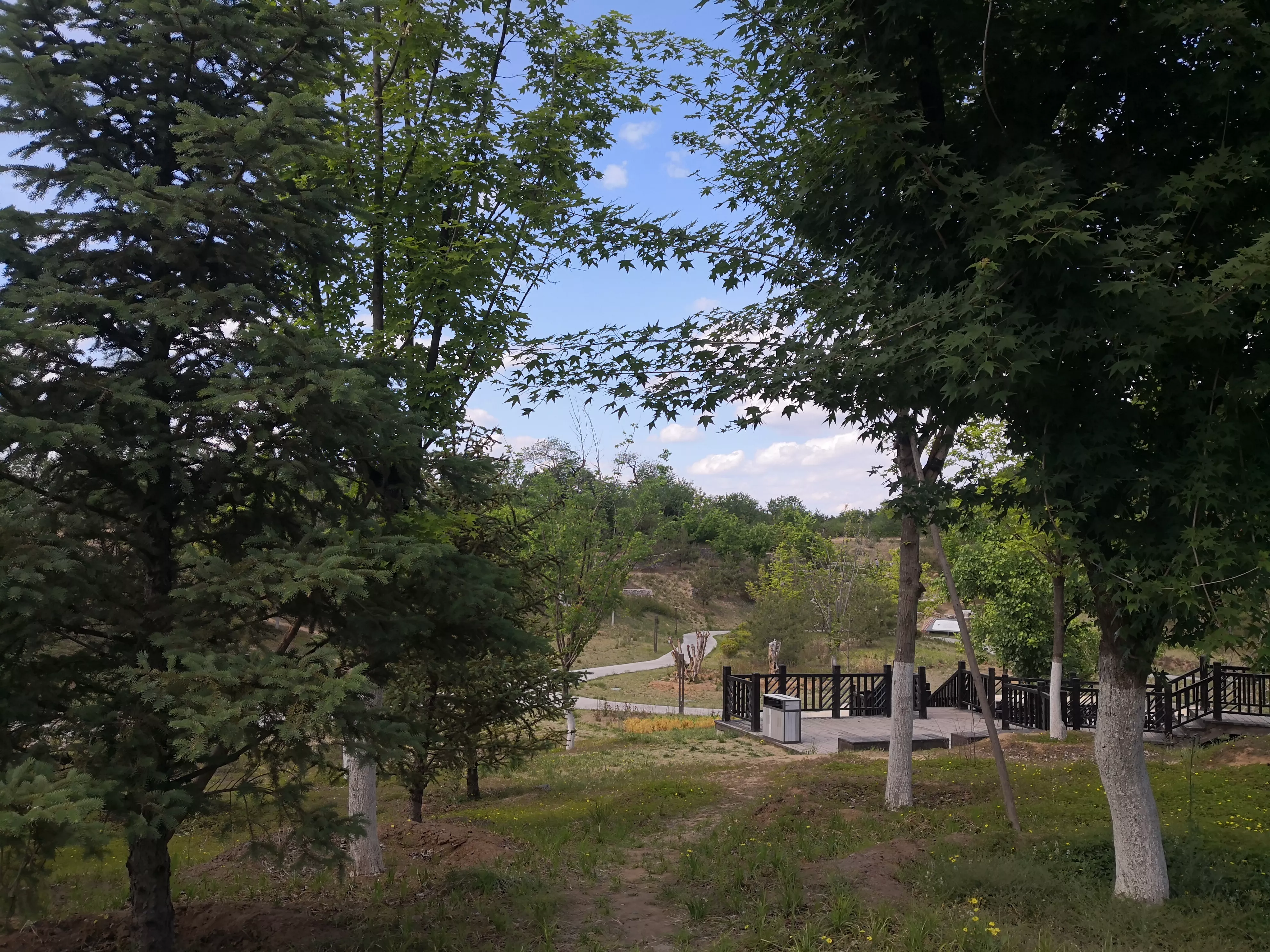 美丽的白河森林公园 蓝蓝的天上白云朵朵 静静的小溪潺潺流水 休闲的人们尽情享受 天天看点