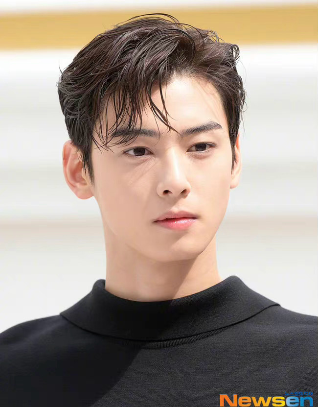 Cha Eun Woo, Sehun, and Park Solomon exude their handsomeness at the DIOR  event