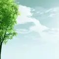 坐看云起时899