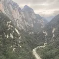 橘子黄了year