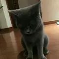 东单1院