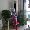 夏至未至材料狗