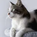 音乐观景台