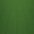 臭屁鼠鼠